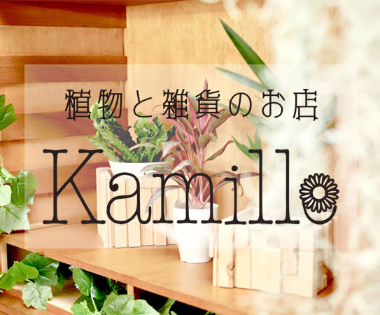 5月21日 豊明市に植物と雑貨のお店「kamille」オープン